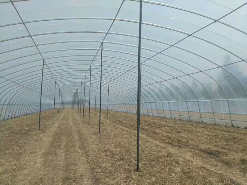 天津温室骨架大棚厂家直销保质保量物美价廉