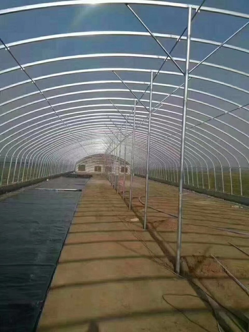 天津温室骨架大棚厂家直销保质保量物美价廉