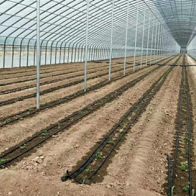 天津温室骨架大棚厂家直销保质保量物美价廉