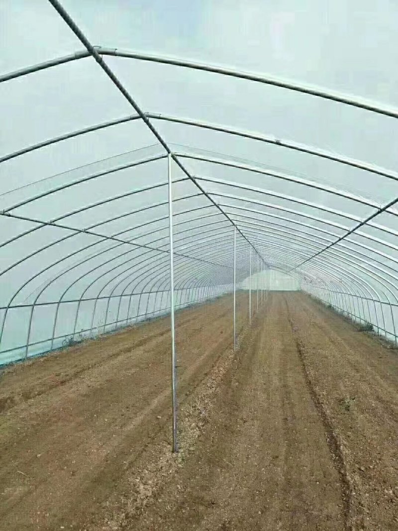 天津温室骨架大棚厂家直销保质保量物美价廉