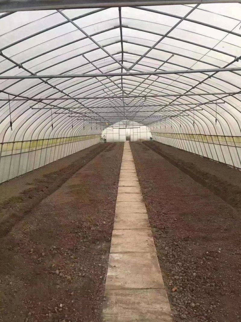 天津温室骨架大棚厂家直销保质保量物美价廉
