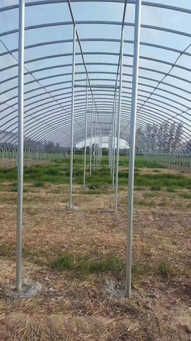 天津温室骨架大棚厂家直销保质保量物美价廉