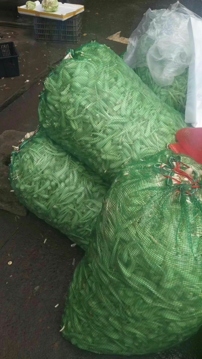 南溪藠头