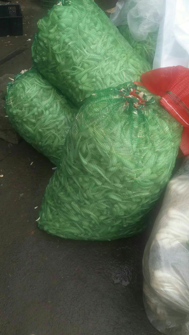 南溪藠头