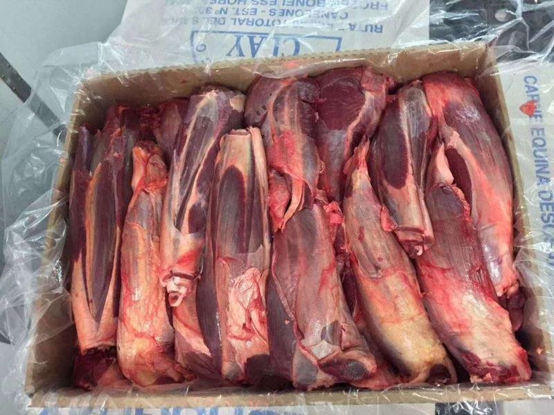 精修去油五分体国产马肉大量现货