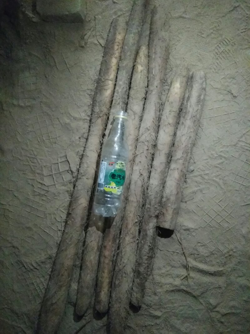 白玉山药通货正在出库