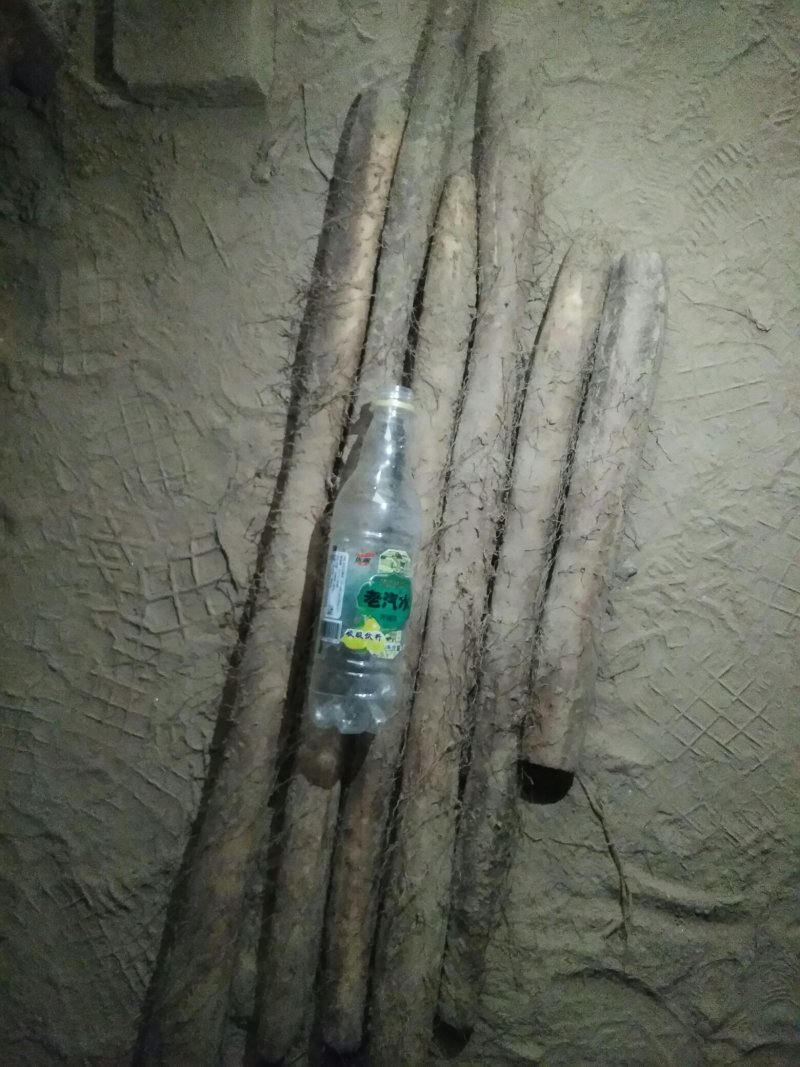 白玉山药通货正在出库