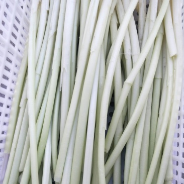 蒲菜