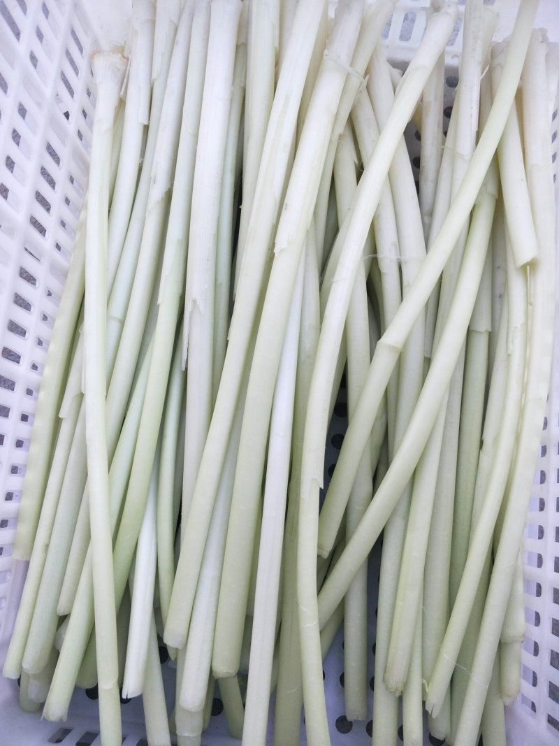 蒲菜