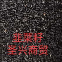 韭菜籽药用韭菜子纯韭菜籽不是种子正规药材批发价中药材