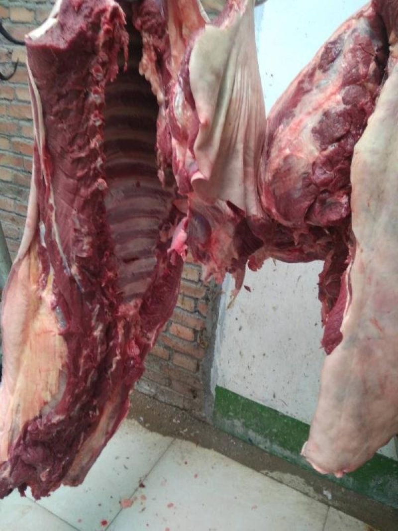 新鲜带皮驴肉，去皮鲜驴肉