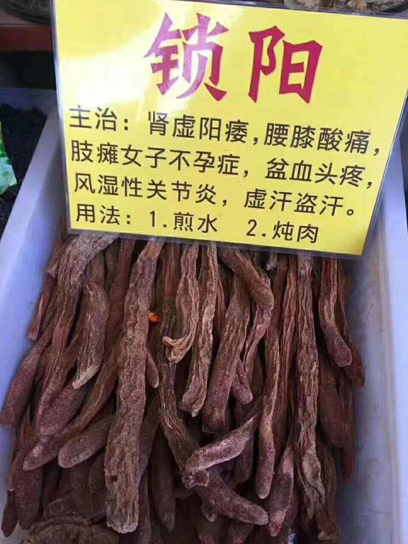 塔克拉玛干野生锁阳