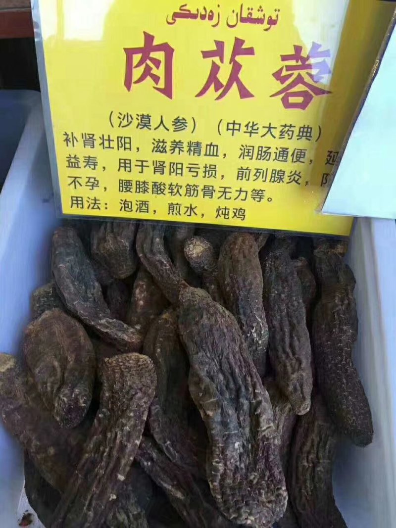 塔克拉玛干野生肉苁蓉