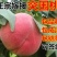 突围桃苗包品种包成活