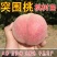 突围桃苗包品种包成活