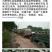 甜王鲁青西瓜以大量上市。七成半到八成熟有需要的老板请联系
