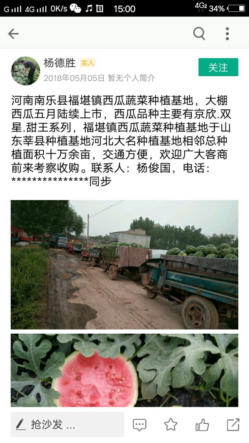 甜王鲁青西瓜以大量上市。七成半到八成熟有需要的老板请联系