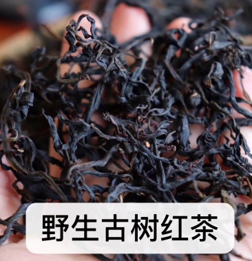 野生古树红茶选用无量山百年野生古树茶制作