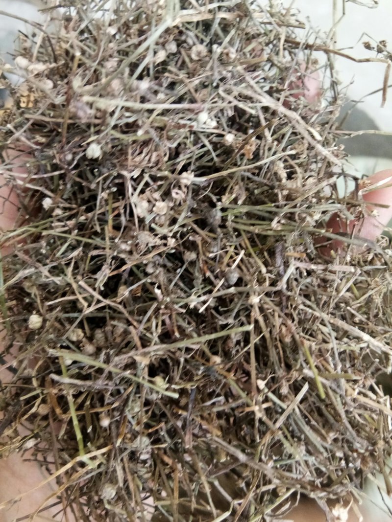 白花蛇舌草正品吸尘人工挑选干净无杂一公斤起包邮