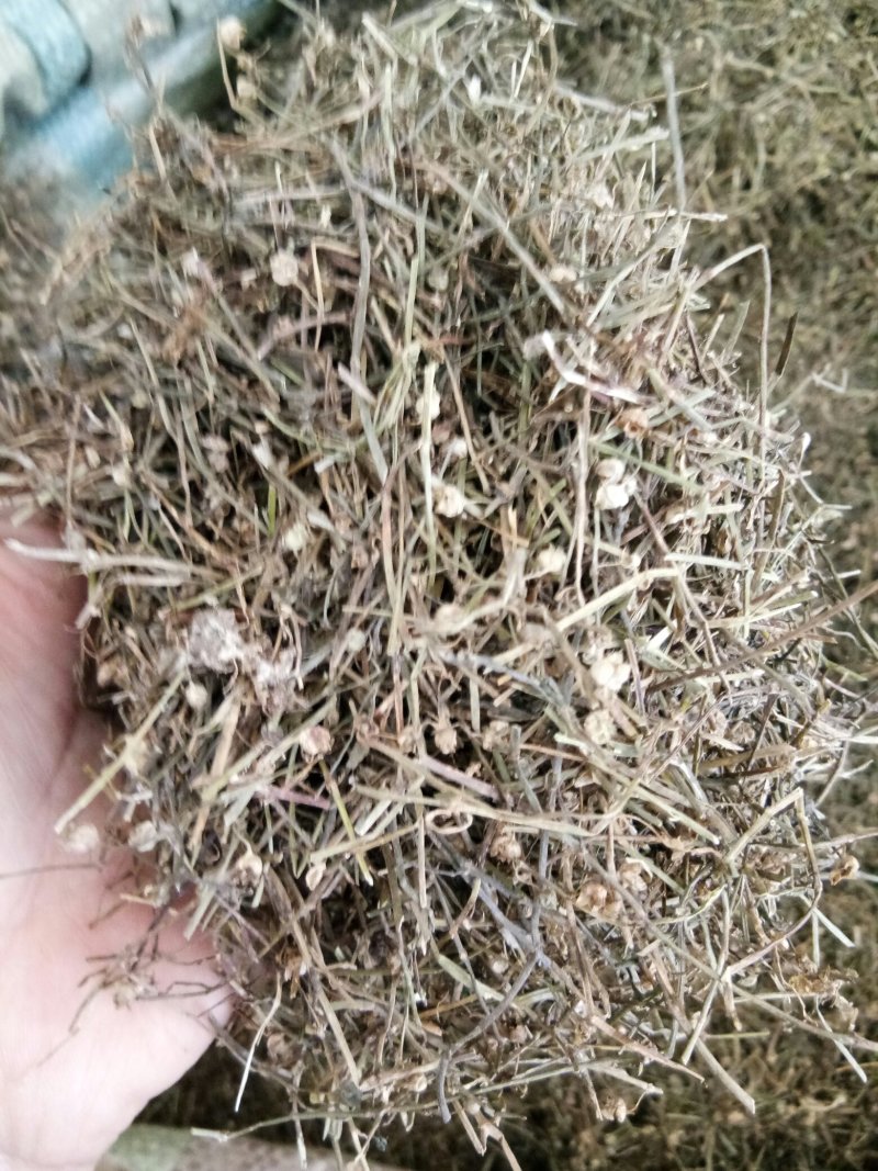 白花蛇舌草正品吸尘人工挑选干净无杂一公斤起包邮