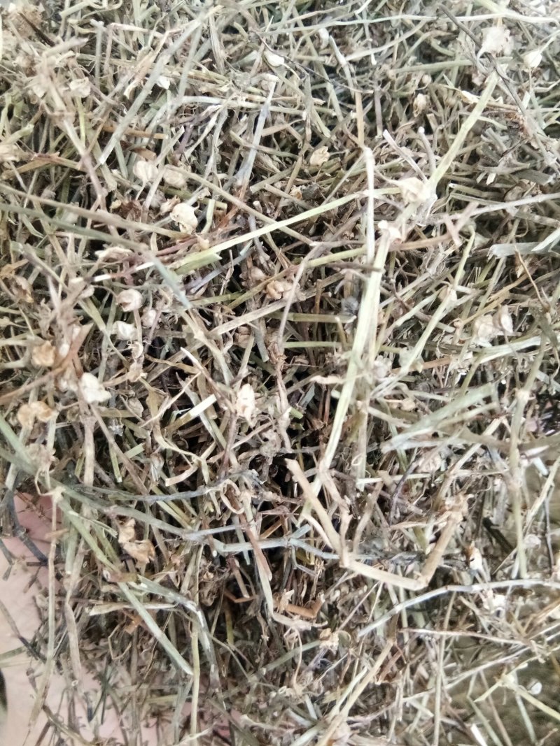 白花蛇舌草正品吸尘人工挑选干净无杂一公斤起包邮