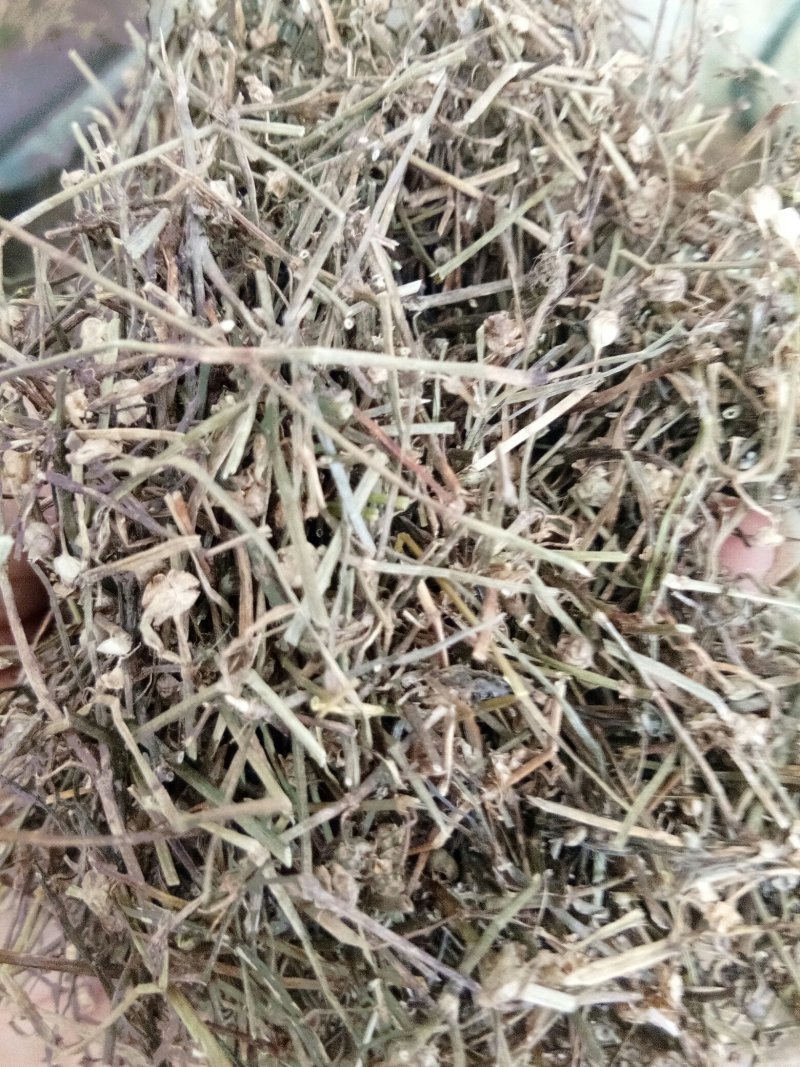 白花蛇舌草正品吸尘人工挑选干净无杂一公斤起包邮