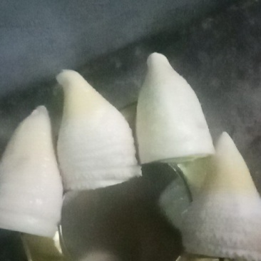 大量供应冬笋缸头，小野笋缸头