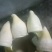 大量供应冬笋缸头，小野笋缸头