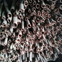玉桂皮
