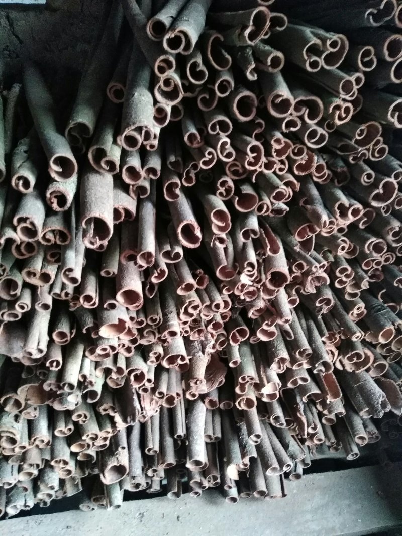 玉桂皮