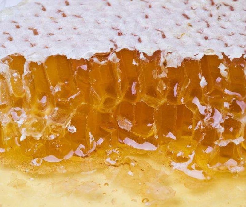 刚出的农家土蜂蜜60元一斤