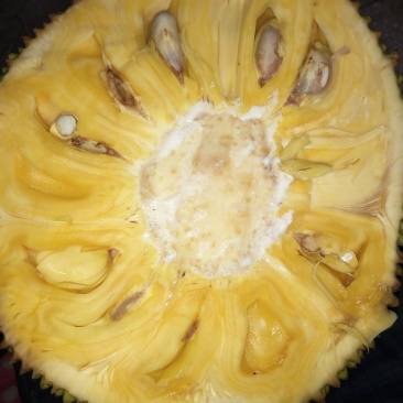 菠萝密，，，，，，，，，，，，，，，，，，，