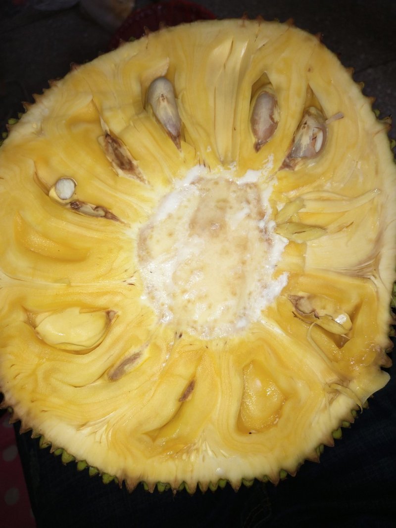 菠萝密，，，，，，，，，，，，，，，，，，，