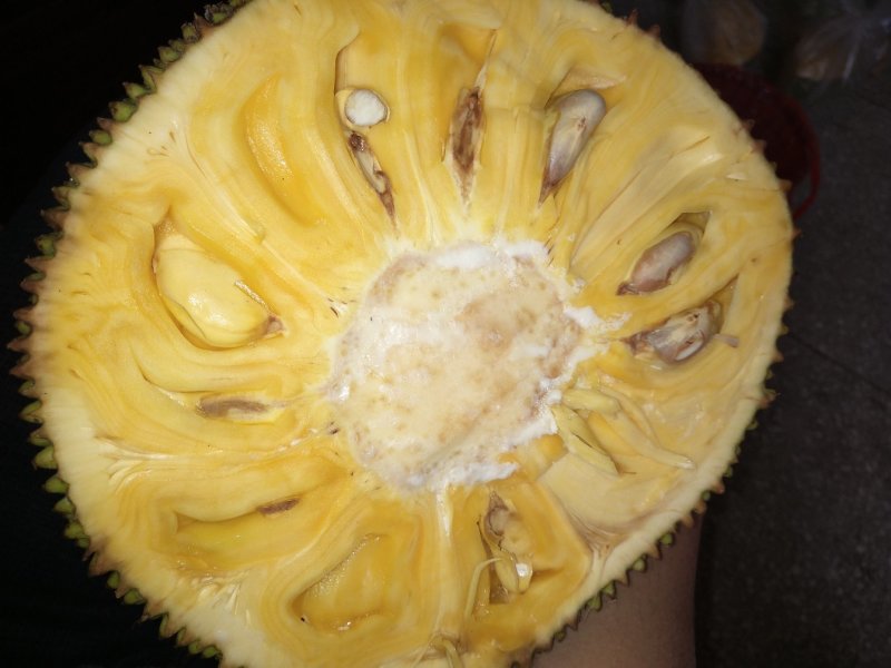 菠萝密，，，，，，，，，，，，，，，，，，，