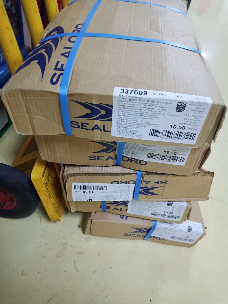 长寿鱼，新西兰近期新货保证品质，1250/1500的