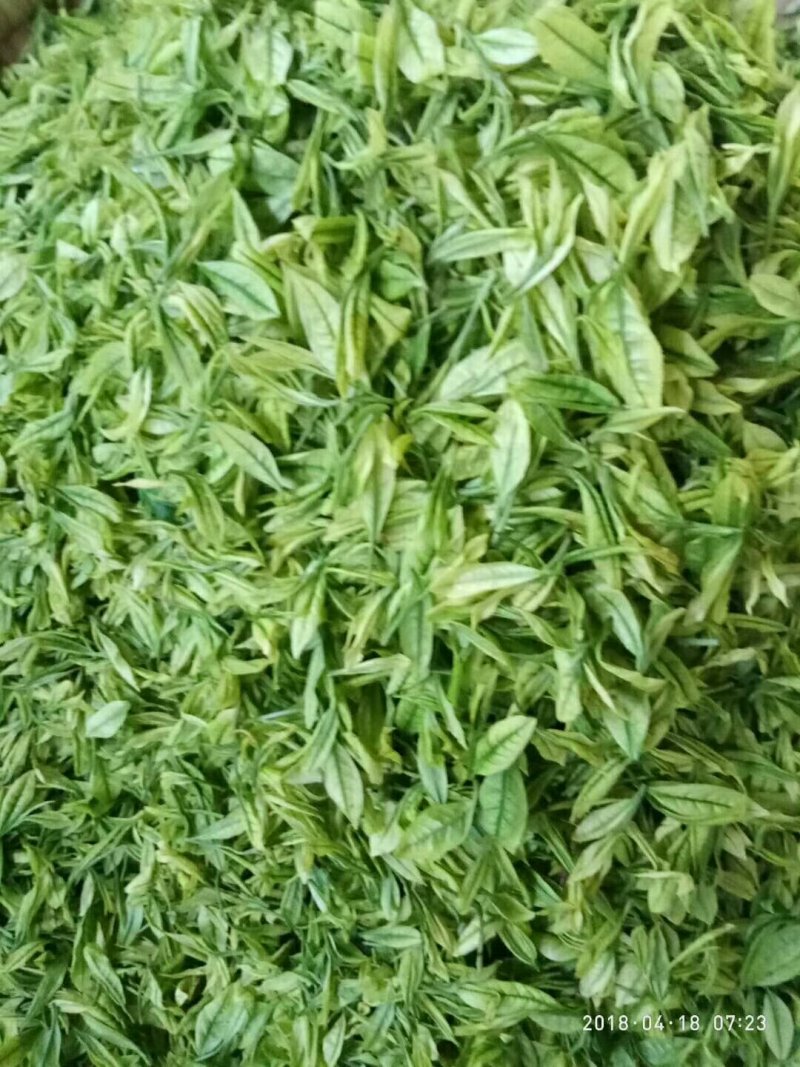 贵州名茶石阡苔茶绿茶好山好水出好茶
