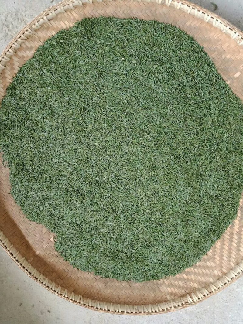 贵州名茶石阡苔茶绿茶好山好水出好茶