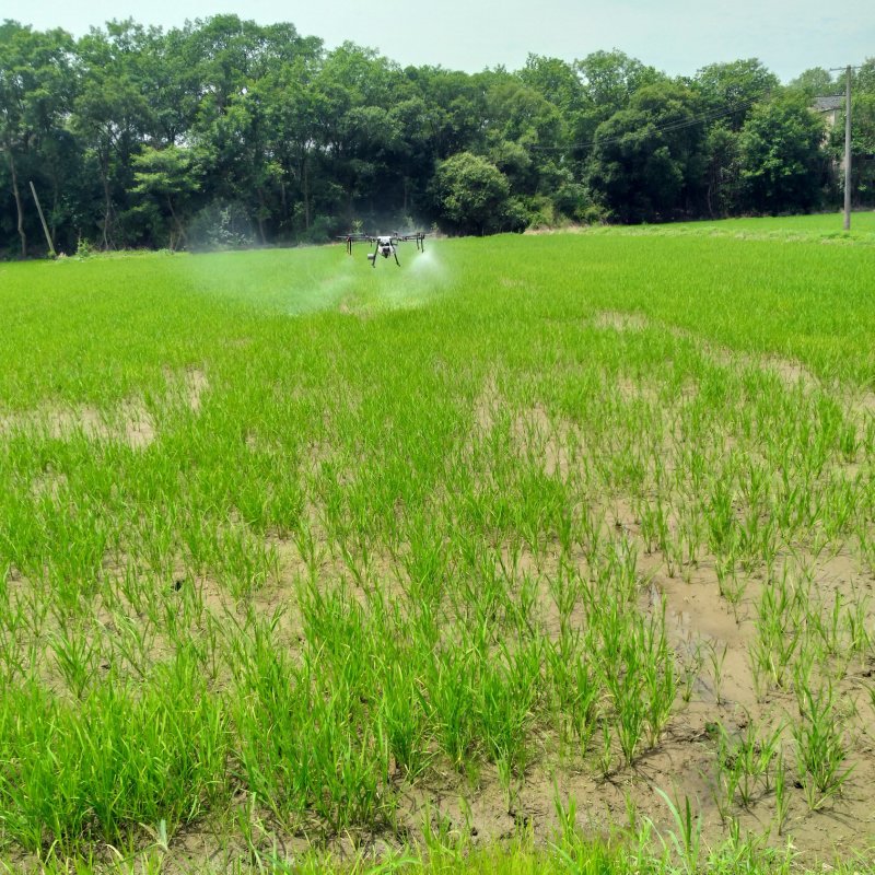 大疆植保无人机喷洒农药培训技术农林统防统治