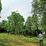 大疆植保无人机喷洒农药培训技术农林统防统治
