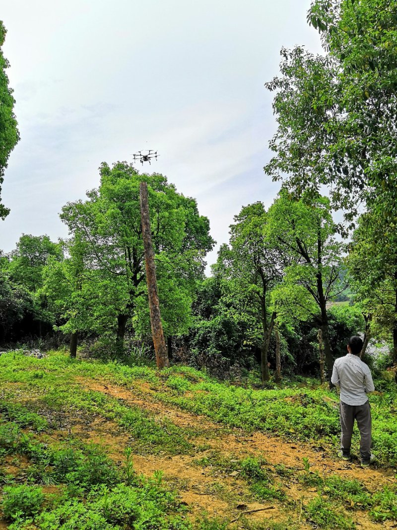 大疆植保无人机喷洒农药培训技术农林统防统治