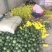 【推荐】山东潍坊青州精品绿宝甜瓜新鲜上市