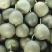 【推荐】山东潍坊青州精品绿宝甜瓜新鲜上市