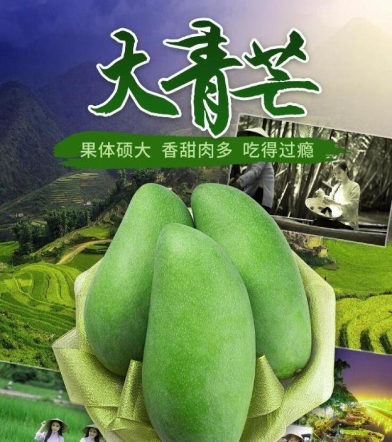 越南特级大青芒