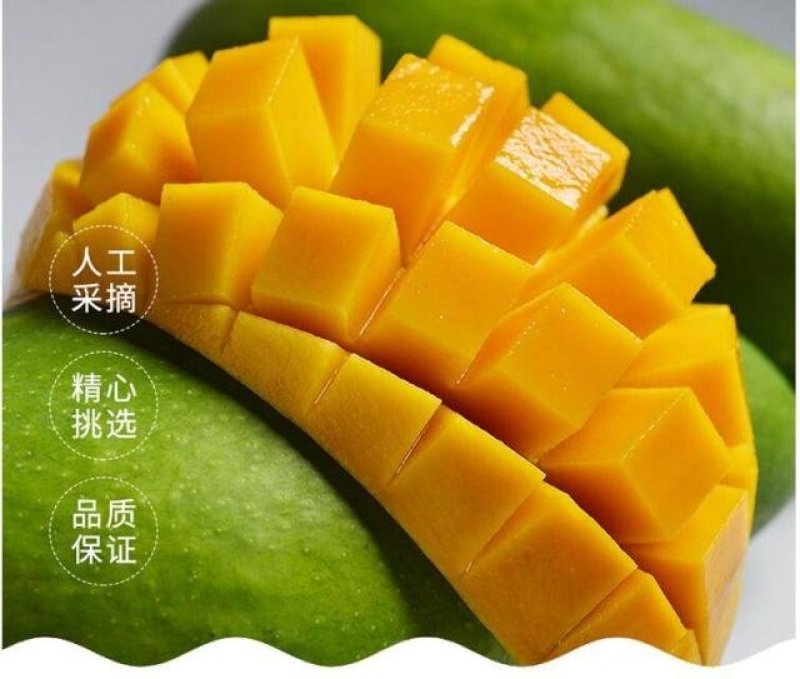越南特级大青芒