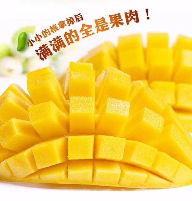 越南大青芒