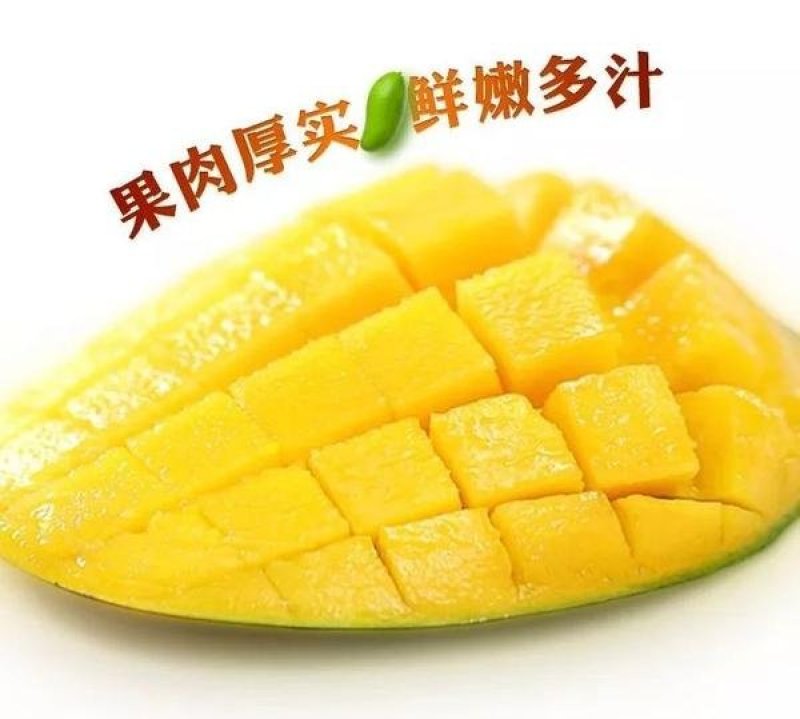 越南大青芒