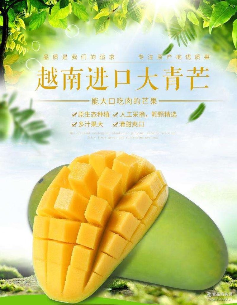 越南大青芒