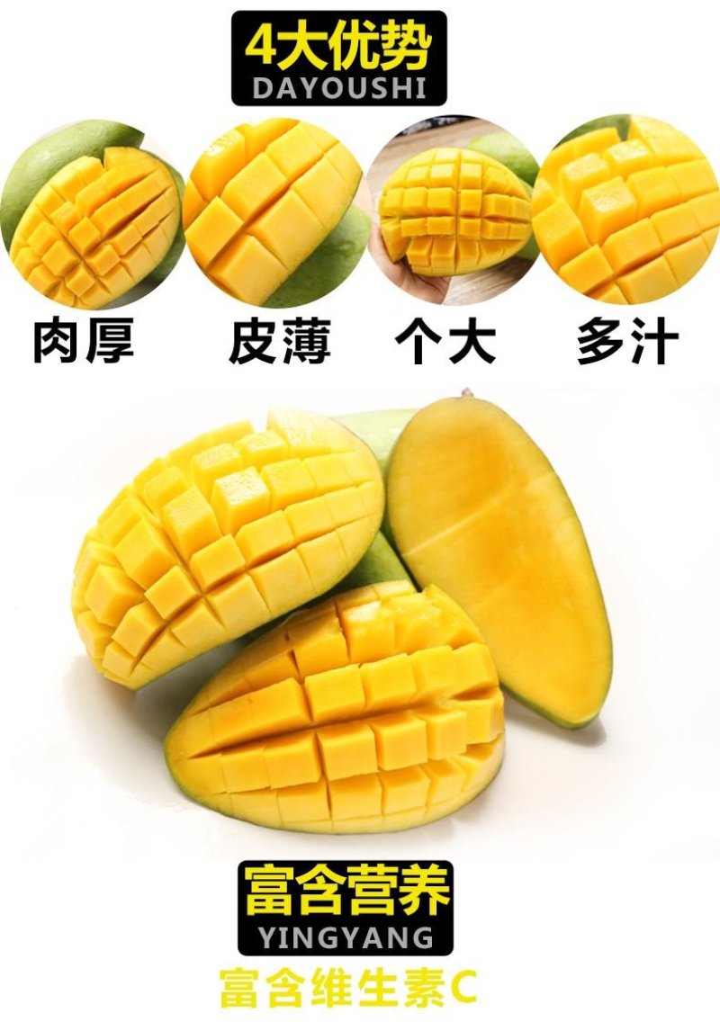 越南大青芒