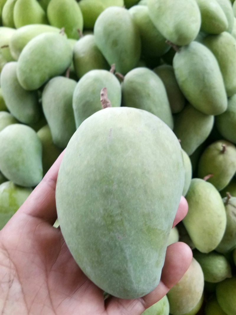 大台