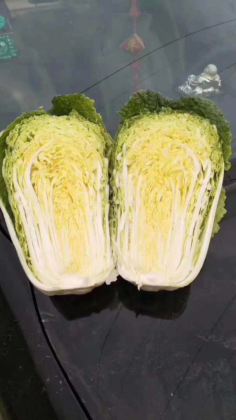 黄心大白菜